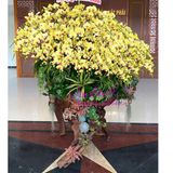  Gỗ lũa ghép hoa lan hồ điệp vàng đẹp nhất 2025 LHD-817 