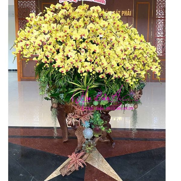  Gỗ lũa ghép hoa lan hồ điệp vàng đẹp nhất 2025 LHD-817 