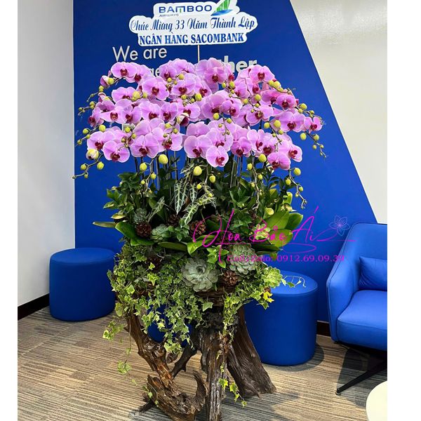  Lũa hoa lan hồ điệp 2025 LHD-816 