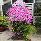  Lũa hoa lan hồ điệp đẹp LHD-766 