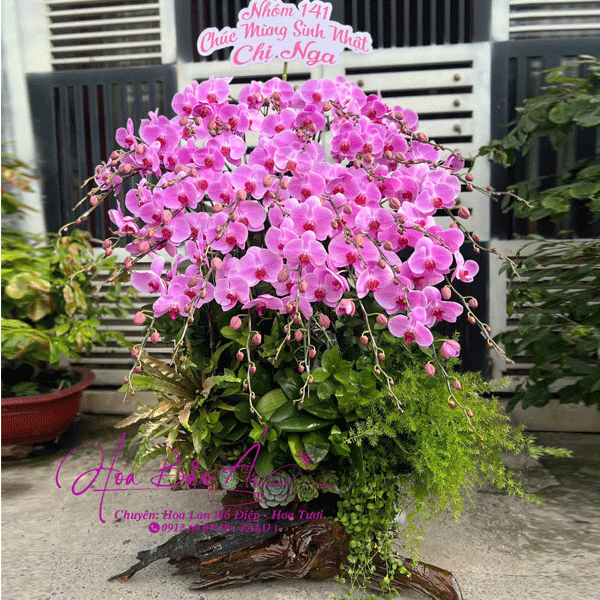  Lũa hoa lan hồ điệp đẹp LHD-766 