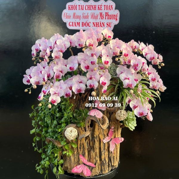  Lũa hoa lan mini xinh đẹp LHD-785 