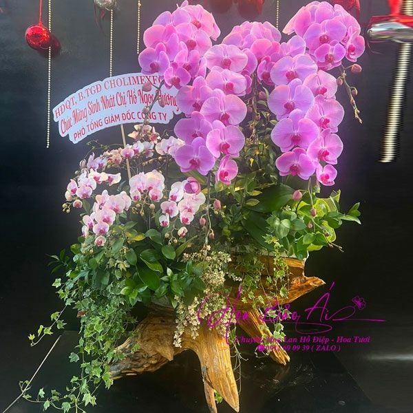  Lũa hoa lan hồ điệp đẹp LHD-762 