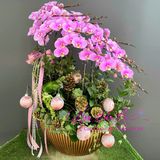  Thuyền hoa lan thuận buồm xuôi gió 2025 LHD-814 