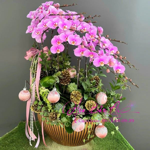  Thuyền hoa lan thuận buồm xuôi gió 2025 LHD-814 