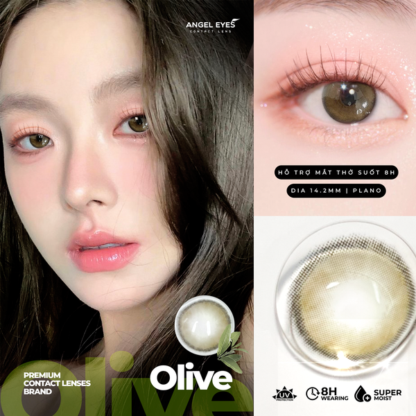  Angel Eyes Plano Collection – a collection of non-prescription colored contact lenses made from PolyHema material 