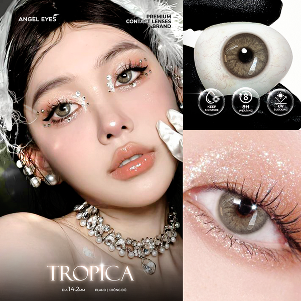  [MẪU GIẢM 50%] Bộ sưu tập kính áp tròng màu không độ Angel Eyes Plano Collection chất liệu PolyHema 
