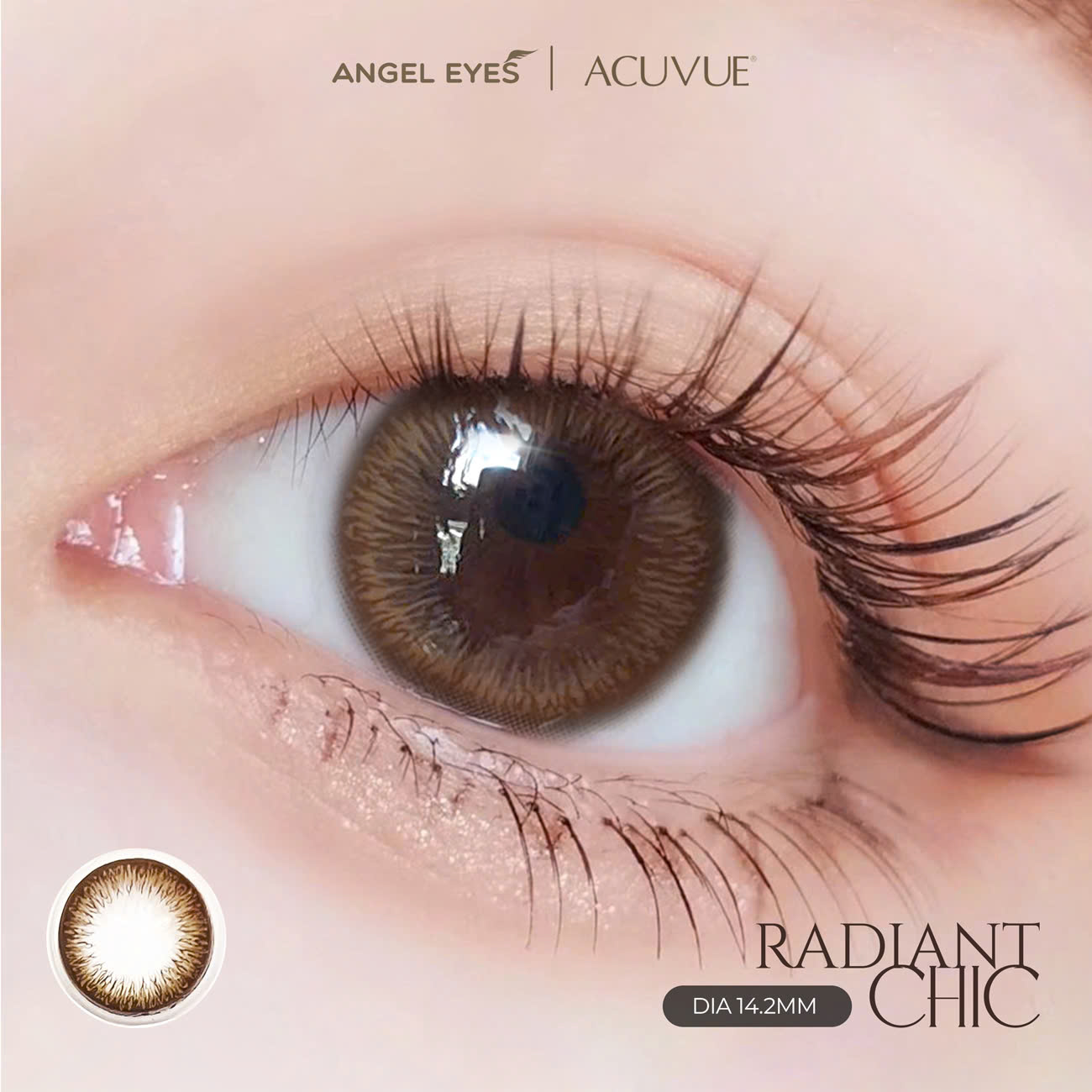 Chính hãng Kính áp tròng 1 ngày màu xám và nâu tự nhiên ACUVUE Define Angel Eyes phân phối chính hãng độ cận 0-9