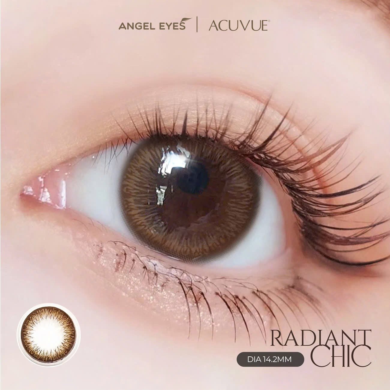  [Genuine] ACUVUE Define One Day Gray and Brown Natural Contact Lenses, Officially Distributed by Angel Eyes | Prescription Range 0-9 