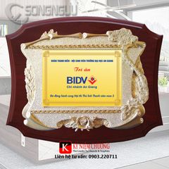 Kỷ niệm chương gỗ đồng trân trọng tri ân