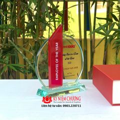 Kỷ niệm chương cá nhân xuất sắc của năm