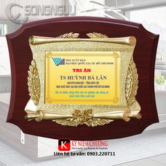 Kỷ niệm chương đồng tri ân cống hiến