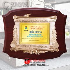 Kỷ niệm chương gỗ đồng điển hình tiêu biểu
