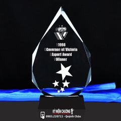 Kỷ niệm chương tri ân lưu niệm