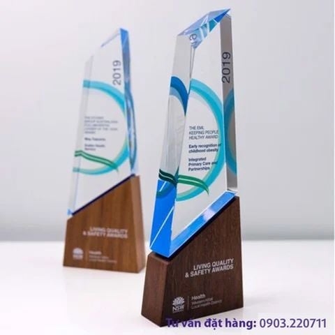 Cúp khối Acrylic màu