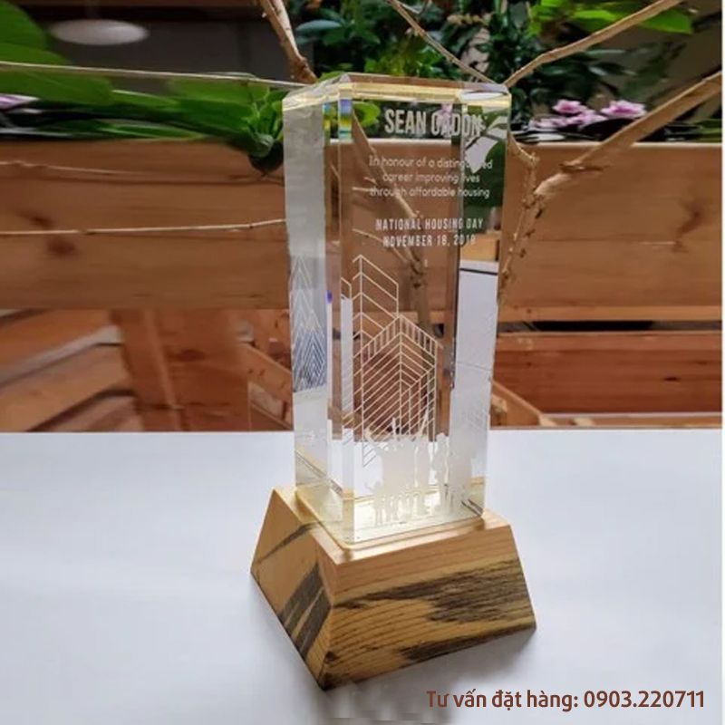 Cúp khối Acrylic gỗ cao 20cm