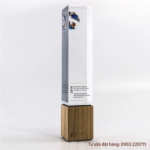 Cúp khối Acrylic + gỗ cao 19cm