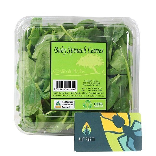  Rau Chân Vịt Non Baby Spinach Leaves 100g 