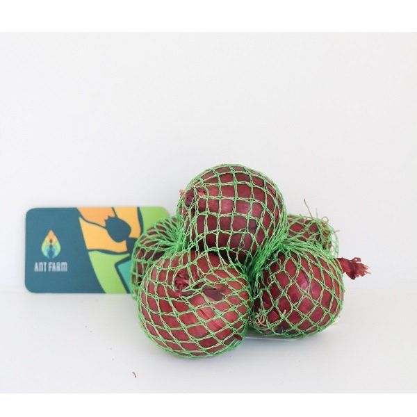  Hành Tây Organic Hà Lan (Organic Onion Red) 350g 
