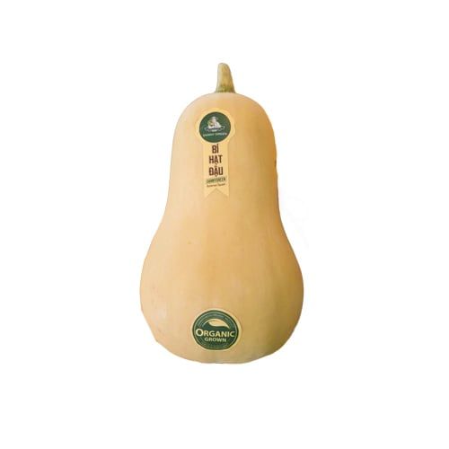  BUTTERNUT SQUASH 500G 