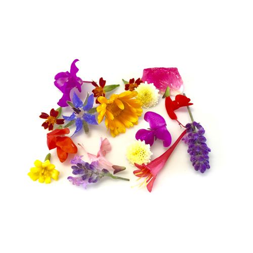  MIXED EDIBLE FLOWER 12G 