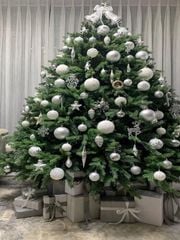 Cây Thông PE - Cây Tự Động - Đủ Kích Thước