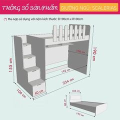 Giường Tầng cho bé Scalerias