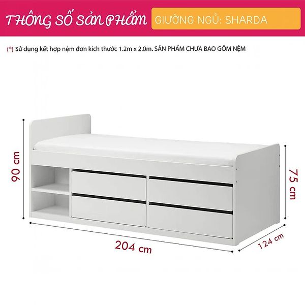Giường ngủ phòng bé Sharda
