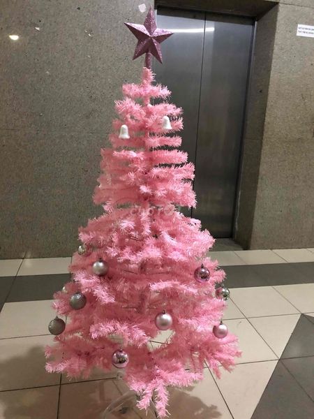 Cây Thông Đầu Tròn Màu Hồng Cam Phủ Tuyết - Cây Tư Động