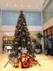 Cây Thông Noel (Cao 1m8)