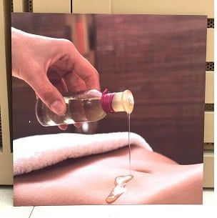 Tranh treo spa 1 bức mã 06