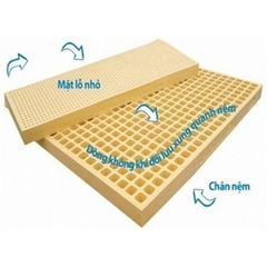 NỆM CAO SU TN VINA-HOME (1M8)