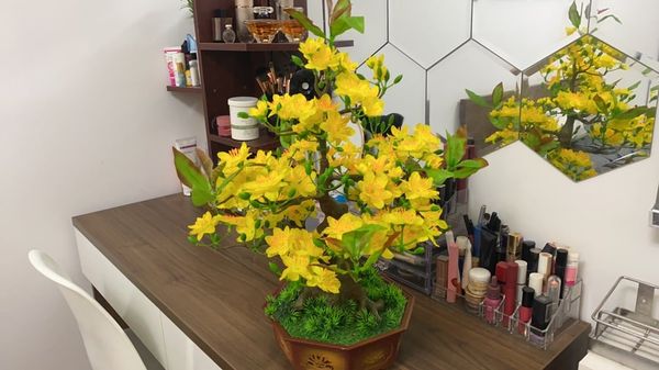 Chậu Hoa Mai Nhựa Mini Để Bàn Cao 50cm Trang Trí Tết