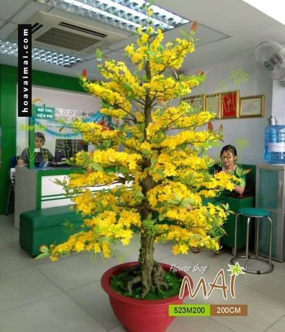 Chậu Hoa Mai Giả Cao 2m Trang Trí Tết