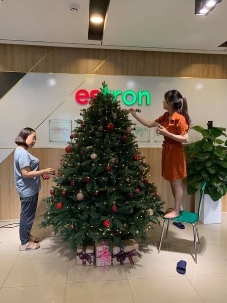 Cây Thông PE - Cây Tự Động - Đủ Kích Thước