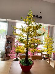 Chậu Hoa Mai Giả Cao 1m2 Trang Trí Tết