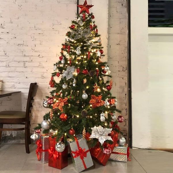 Cây Thông Thường Đầu Tròn - Đủ Kích Thước