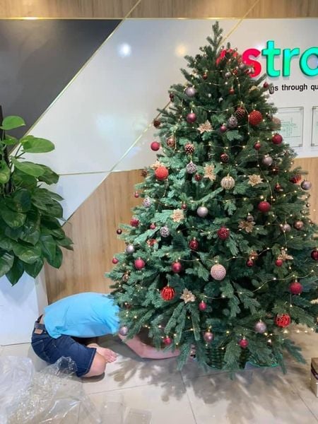 Cây Thông PE - Cây Tự Động - Đủ Kích Thước