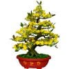 Chậu Hoa Mai Bonsai Giả Cao 1m45 Trang Trí Tết