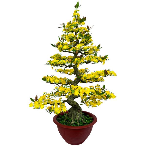 Chậu Mai Bonsai Giả 1m65 Trang Trí Tết