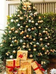 Cây Thông PE - Cây Tự Động - Đủ Kích Thước