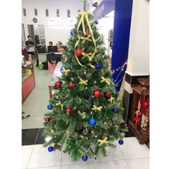 Cây Thông 3 Loại Lá Gắn Trái Thông, Dày Lá - Đủ Kích Thước