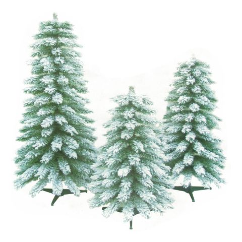 Cây Thông Phủ Tuyết Cao Từ 90cm - 150cm