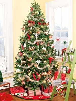 Cây Thông Đầu Tròn Cao 240 cm