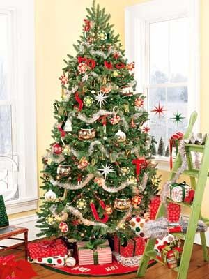 Cây Thông Đầu Tròn Cao 3m