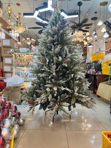 Cây Thông 5 Loại Lá Cao Cấp (Cao 150-200-240 cm)