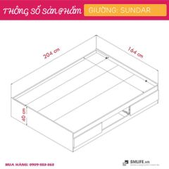 Giường ngủ phòng bé Sundar