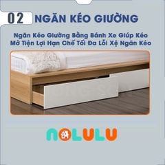 Giường Tầng Người Lớn Mang Phong Cách Hiện Đại GT285