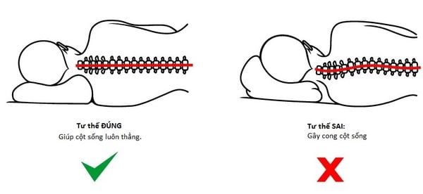 Nệm Cao Su Trung Sơn Phù Hợp Kích Thước Giường Tầng