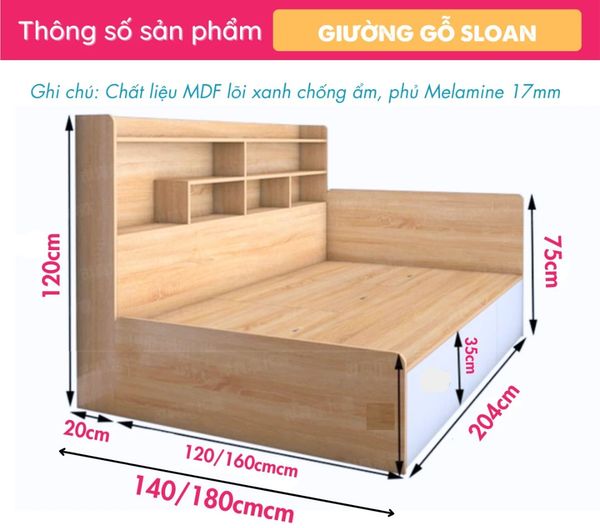 Giường Kết Hợp Giá Sách Hiện Đại Sloan